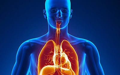 Cellules souches, santé et bien-être