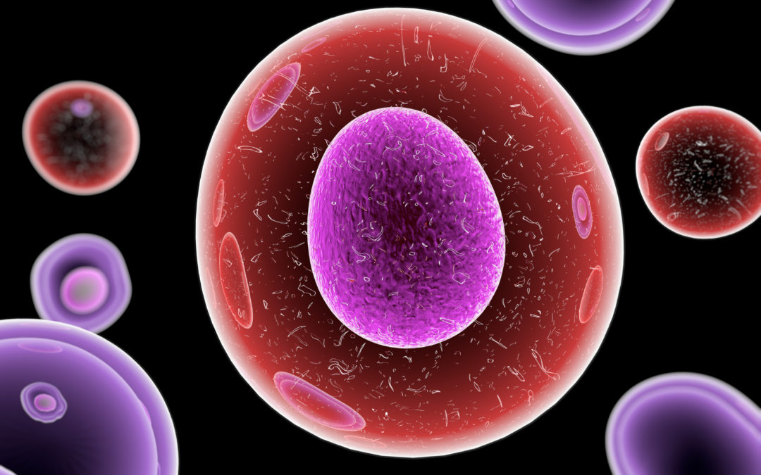 Artificial cell capable of ingesting, processing and eliminating