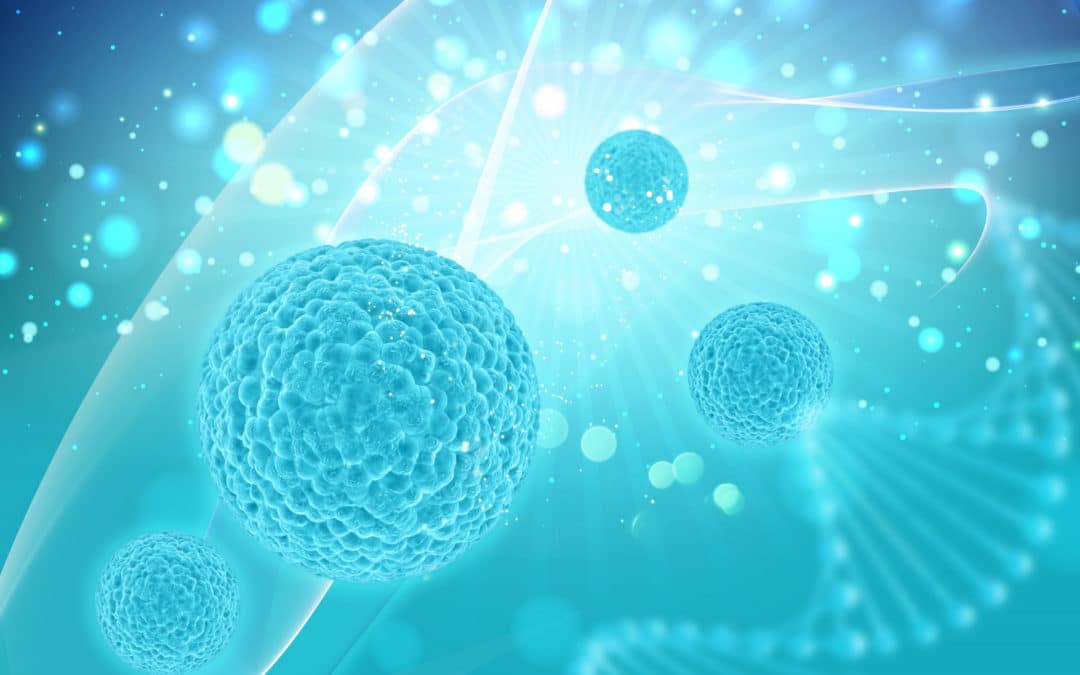 WHAT IS A STEM CELL