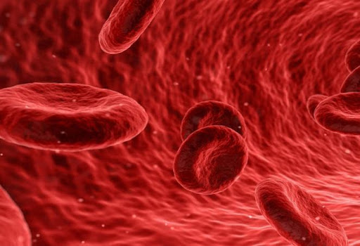 Red Blood Cells traveling through an artery. Red Blood Cells traveling through an artery.