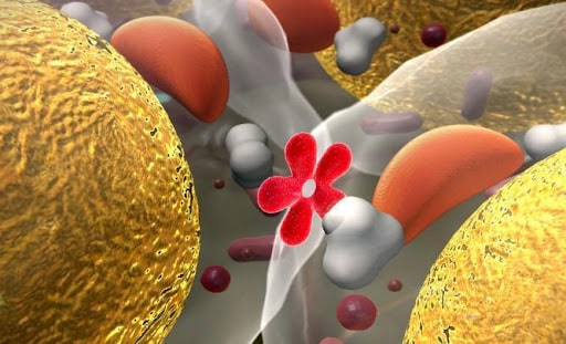 insulin entering a cell insulin entering a cell