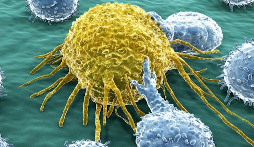 White blod cells agregating around a pathogenearound White blod cells agregating around a pathogenearound