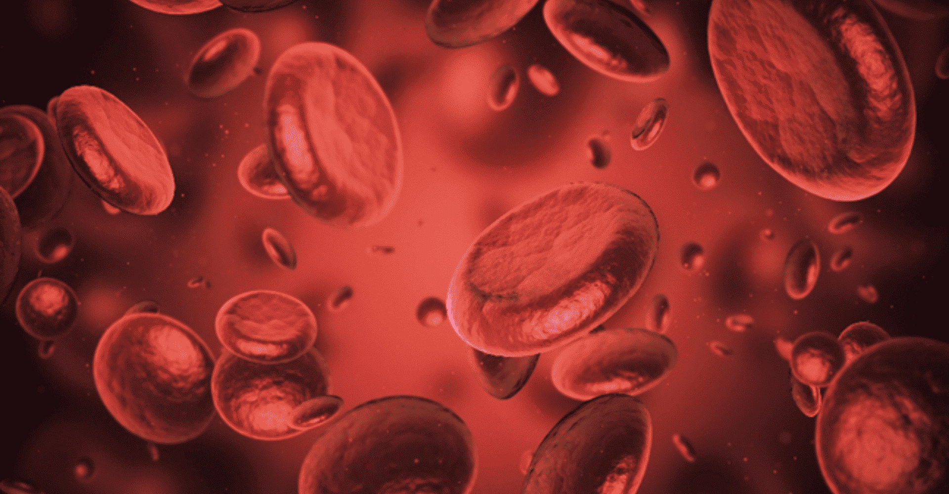 1 insuline pénétrant dans une cellule