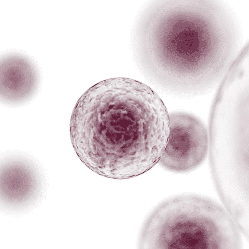 3 insuline pénétrant dans une cellule